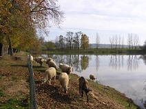 Agroturistika – rodinná dovolená